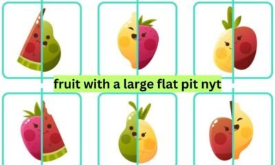 fruit with a large flat pit nyt