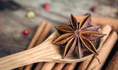 Star Anise