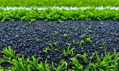 Rubber Mulch Benefits, Uses, and Sustainability