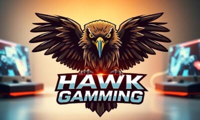 Hawk Gaming Features and Impact on the Gaming World