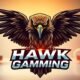 Hawk Gaming Features and Impact on the Gaming World