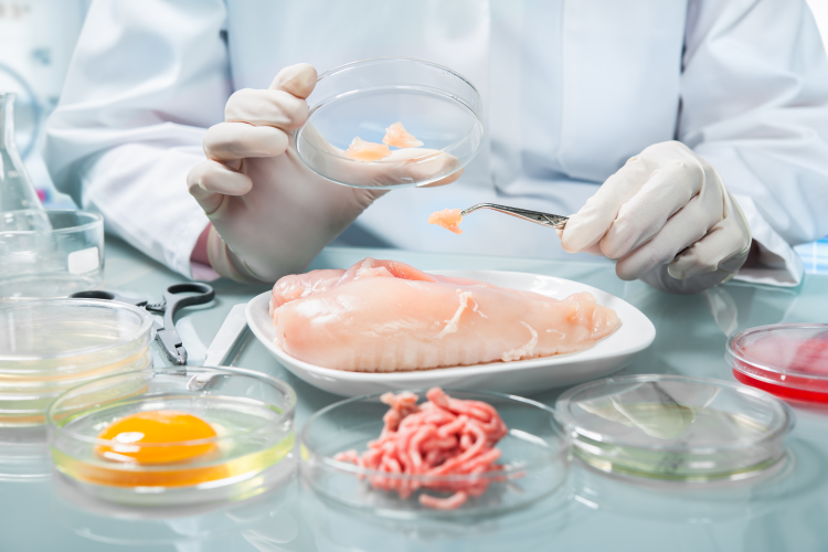 food safety management software