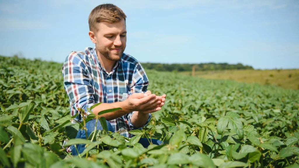 Integrating Food Safety and Quality Management Software Seamlessly